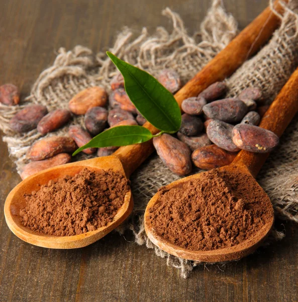 Cocoa powder and beans in spoons on wooden background — Stock Photo, Image