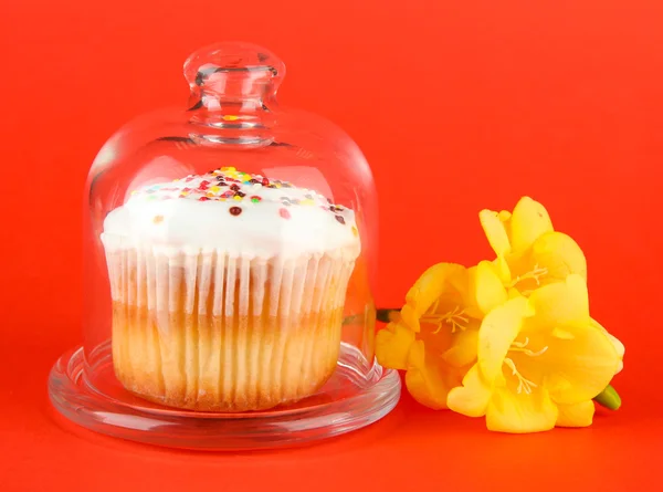 Cupcake on saucer with glass cover, on color background — Stock Photo, Image