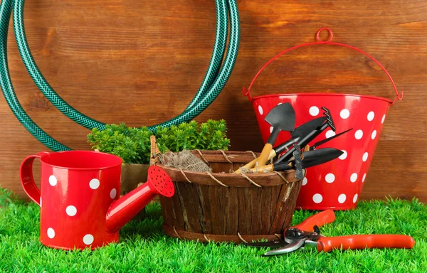 Садовые инструменты на траве во дворе — стоковое фото
