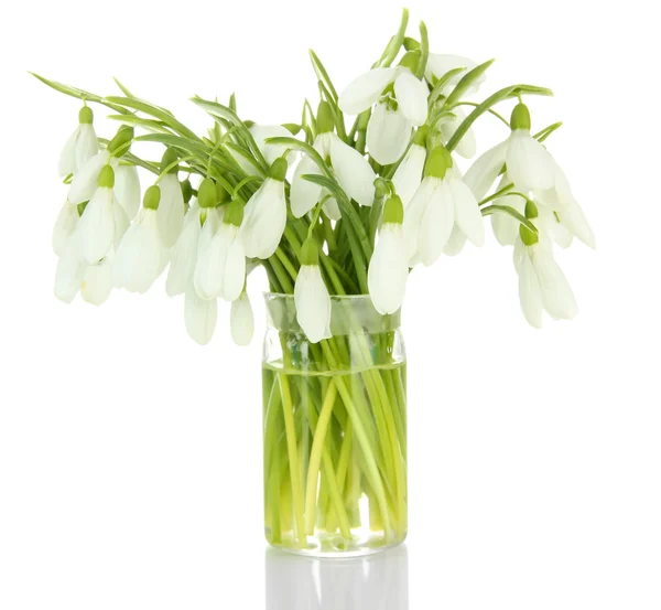 Bouquet di fiori di bucaneve in vaso di vetro, isolato su bianco — Foto Stock