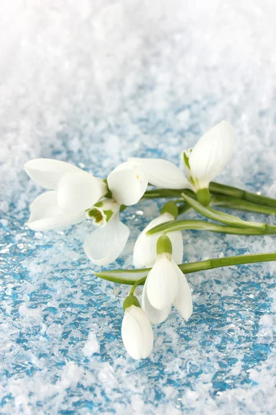 Букет з квітів снігу, на фоні снігу — стокове фото