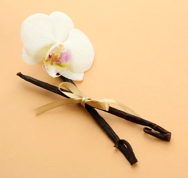 Vainas de vainilla con flor, sobre fondo beige — Foto de Stock