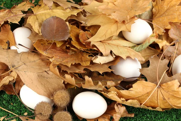 Ovos de Páscoa escondidos nas folhas — Fotografia de Stock