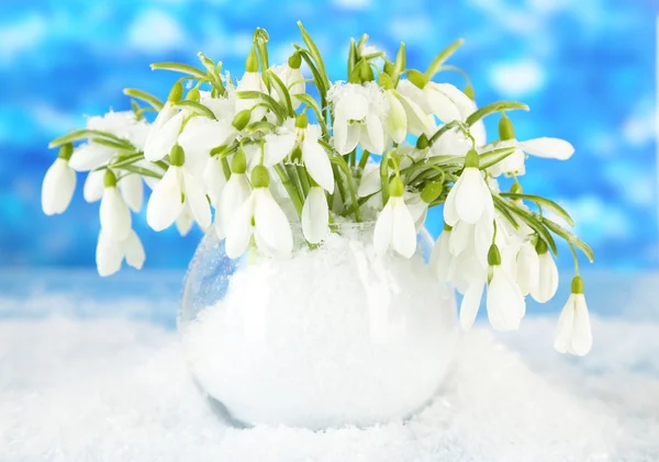Букет подснежников в вазе со снегом, на ярком фоне — стоковое фото