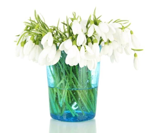 Bouquet of snowdrop flowers in glass vase, isolated on white — Stock Photo, Image