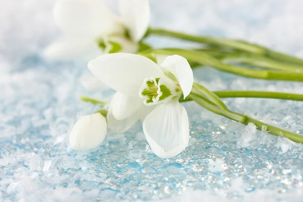 Bouquet di fiori di bucaneve, su fondo neve — Foto Stock