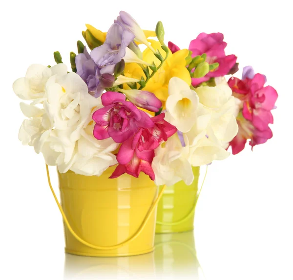 Beautiful bouquet of freesias in pails, isolated on white — Stock Photo, Image