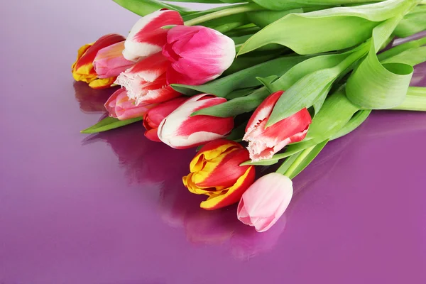 Mooie tulpen in emmer op paarse achtergrond — Stockfoto
