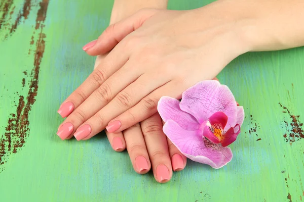 Женские руки с розовым маникюром и орхидеей на цветном фоне — стоковое фото