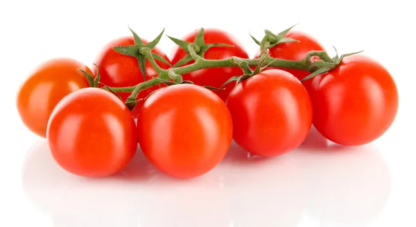 Cherry tomaten op een tak op wit wordt geïsoleerd — Stockfoto