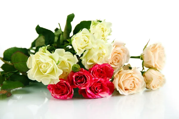 Mooie kleurrijke rozen close-up geïsoleerd op wit Rechtenvrije Stockfoto's