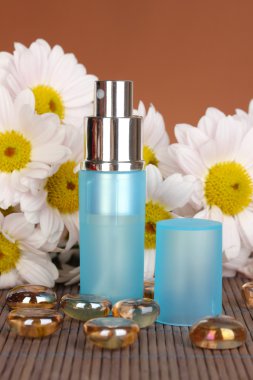 Kadın parfüm ile kahverengi zemin üzerine camomiles güzel şişe