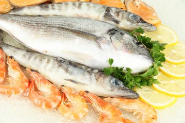 buz üstünde taze deniz ürünleri