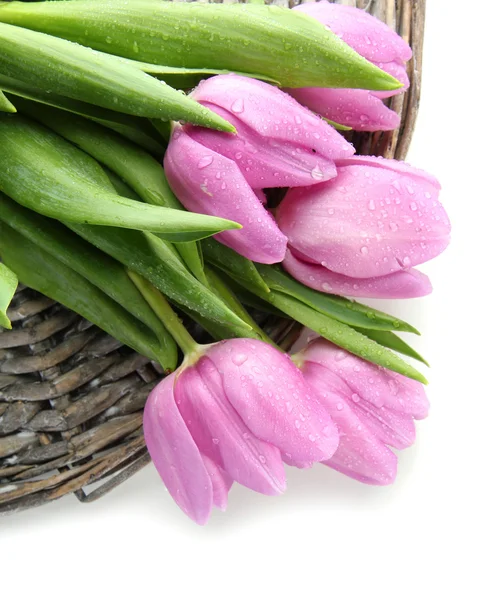 Mooi boeket van paarse tulpen, geïsoleerd op wit — Stockfoto