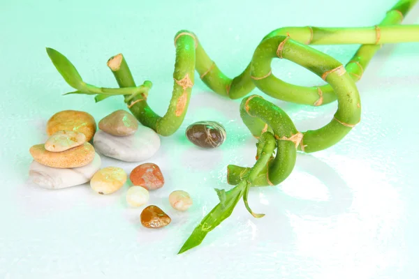 Hermosas ramas de bambú con piedras aisladas en blanco —  Fotos de Stock