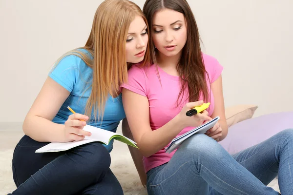 Two girl friends study on room — Stock Photo, Image