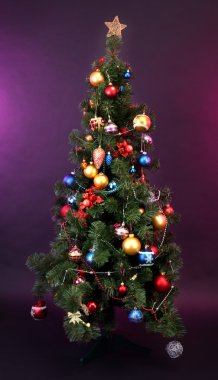 Noel ağacı ev iç zemin üzerine dekore edilmiştir