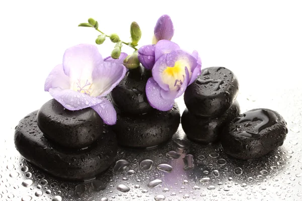 Piedras de spa y flor púrpura, aisladas en blanco —  Fotos de Stock