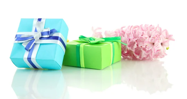 Hermoso jacinto y regalos, aislado en blanco —  Fotos de Stock