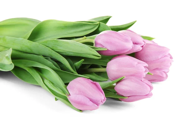 Gyönyörű csokor lila tulipán, elszigetelt fehér — Stock Fotó