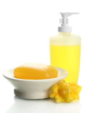 şişe ve Sabunluk ile üzerine beyaz izole sabun