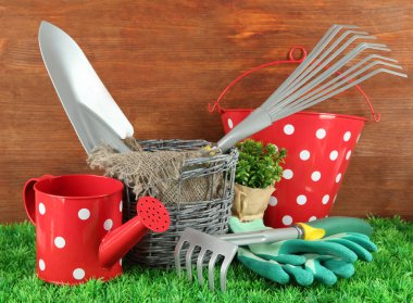 bahçede çimlerin üzerine Bahçe aletleri