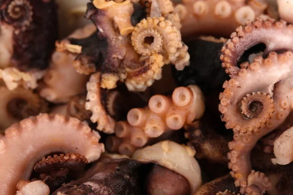 Tentacles of octopus, macro — Stock Photo, Image