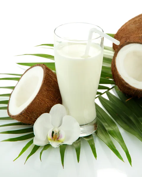 Noix de coco avec verre de lait, isolées sur blanc — Photo