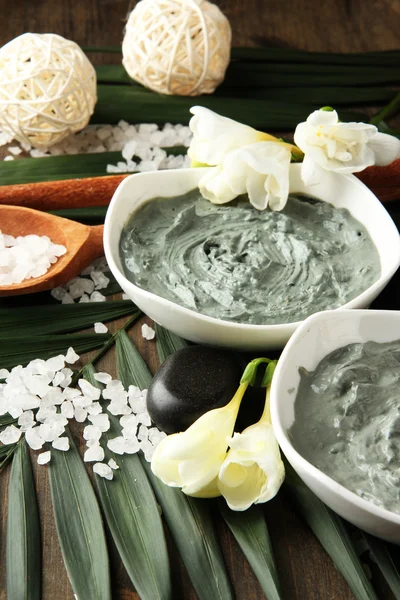 Sammansättning med kosmetiska lera för spa-behandlingar på palm leaf bakgrund — Stockfoto