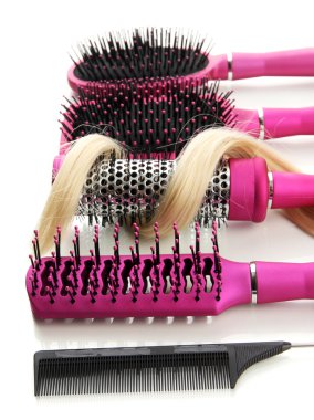 tarak fırça saçlı, beyaz izole