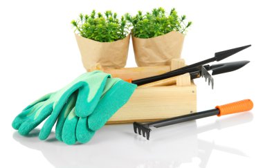 bahçe araçları beyaz üzerinde izole