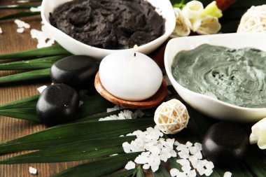 palmiye yaprak zemin üzerine spa uygulamaları için kozmetik kil ile kompozisyon