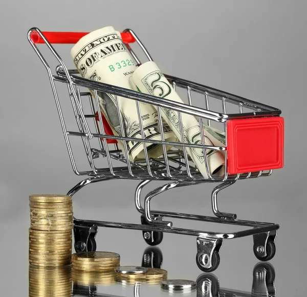 Geld im Einkaufswagen auf grauem Hintergrund — Stockfoto