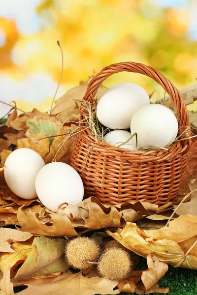 Huevos de Pascua en canasta de mimbre escondidos en hojas — Foto de Stock