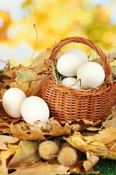 Huevos de Pascua en canasta de mimbre escondidos en hojas —  Fotos de Stock