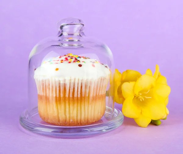 Cupcake op schotel met glazen deksel, op een achtergrond met kleur — Stockfoto