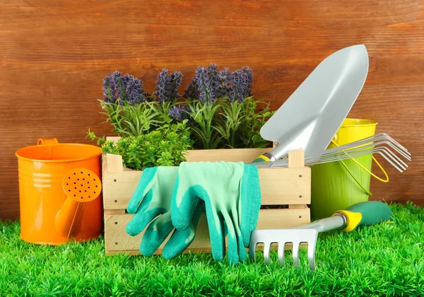 Tuingereedschap op gras in de tuin — Stockfoto