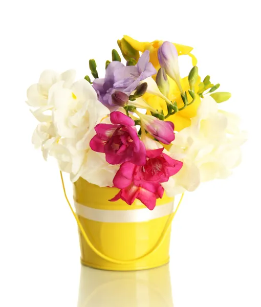 Freesias 桶，在白色上隔绝的美丽花束 — 图库照片