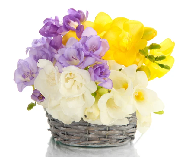 Hermoso ramo de freesias en cesta, aislado en blanco — Foto de Stock