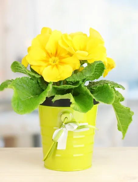Schöne gelbe Primeln im Blumentopf auf Holzfensterbank — Stockfoto