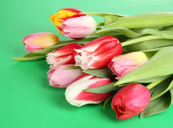 Hermosos tulipanes en cubo sobre fondo verde — Foto de Stock