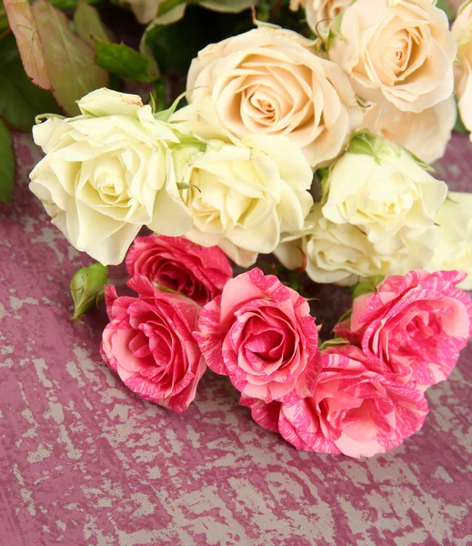 Beautiful colorful roses close-up, on color background — Stock Photo, Image