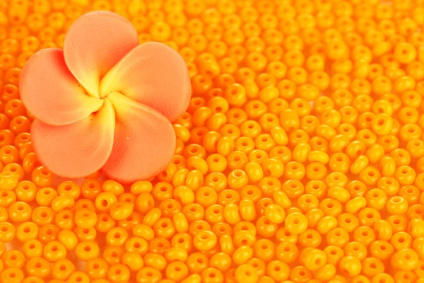 オレンジ色のビーズで装飾的な手作りの花のクローズ アップ — ストック写真