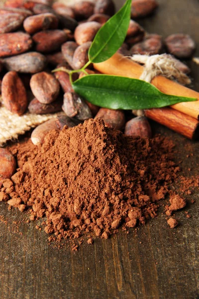 Cocoa beans, cocoa powder and spices on wooden background — Stock Photo, Image