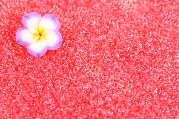 Red beads with decorative handmade flower closeup — Stock Photo, Image