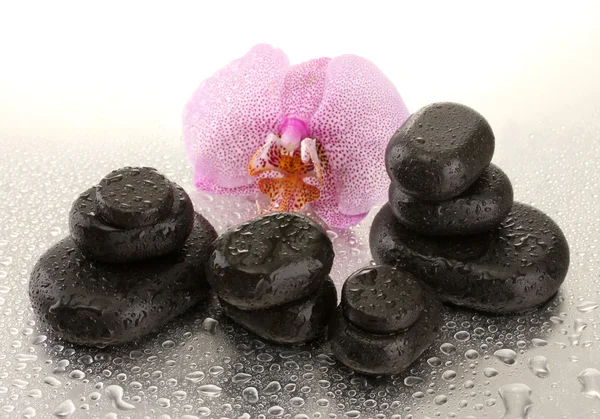 Piedras de spa y flor de orquídea, sobre fondo mojado — Foto de Stock