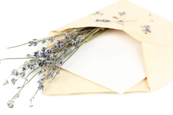 Old envelope with blank paper and lavender isolated on white — Stock Photo, Image