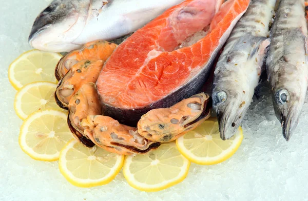 Fresh seafood on ice — Stock Photo, Image