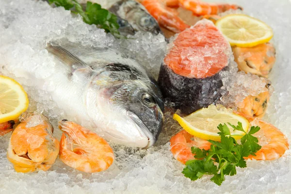 Fruits de mer frais sur glace — Photo