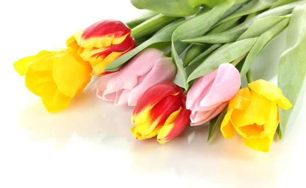 Mooie tulpen in emmer geïsoleerd op wit — Stockfoto